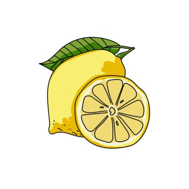 Yeşil yapraklı ve sulu dilimli sarı limon seti, tasarım ve yaratıcılık için el çizimi vektör illüstrasyonu