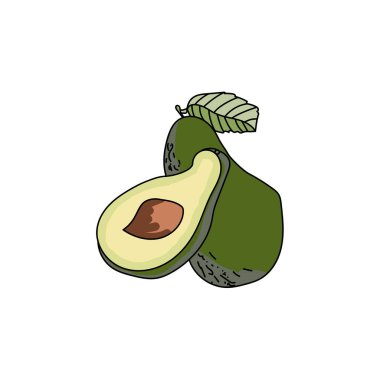 Avokado tam ve yarım koltuk altı, yeşil yapraklı lezzetli meyve, tasarım ve yaratıcılık için el çizimi vektör çizimi çizimi