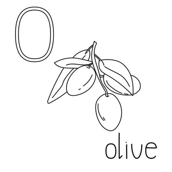着色ページフルーツと野菜のAbc 手紙O オリーブ 創造性のための教育を受けた着色カード — ストックベクタ