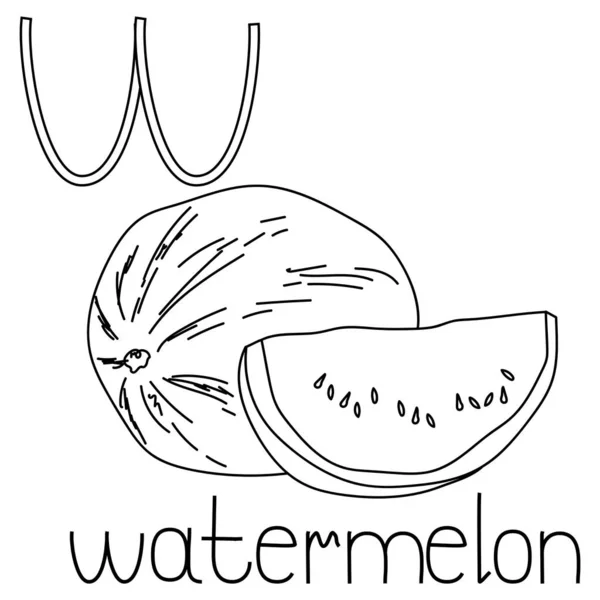 Malvorlage Obst Und Gemüse Abc Buchstabe Wassermelone Gebildete Malvorlage Für — Stockvektor