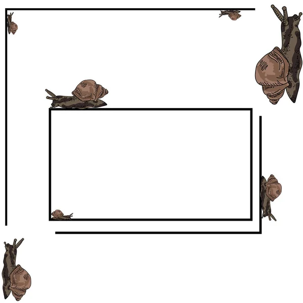 Cadre Mince Rectangulaire Pour Une Inscription Avec Des Escargots Bruns — Image vectorielle