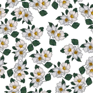 Dizayn ve yaratıcılık için çiçek temalı gül çiçeği deseni, vektör illüstrasyonu