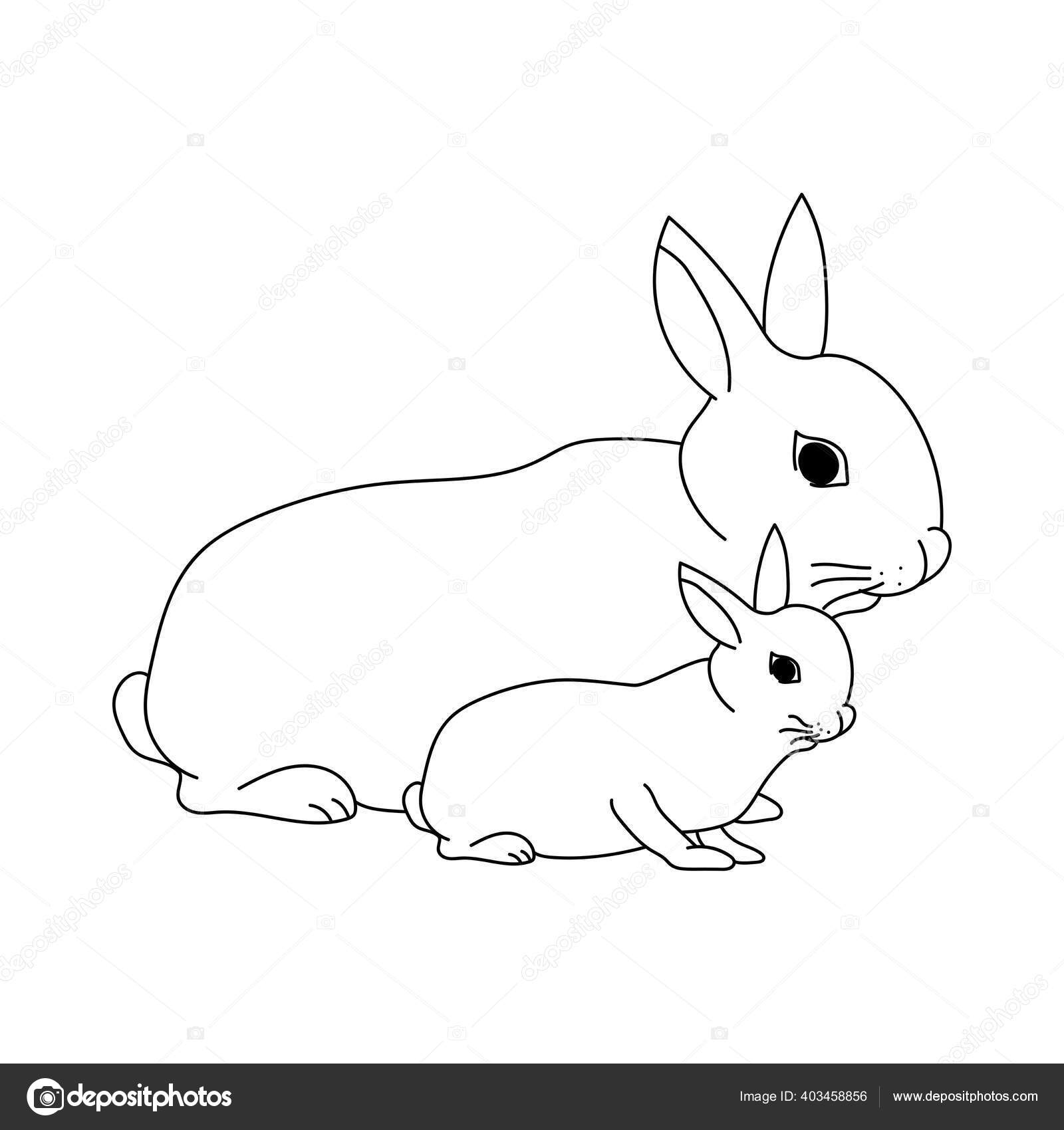 Adult Rabbit Baby Bunny Mom Baby Animals Educational Materials Form Vector Image By C Sunnycoloring Vector Stock 403458856
