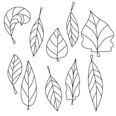 Taslak karalama yaprakları, farklı doğa elementleri, yeşillik renklendirme sayfası, tasarım ve yaratıcılık için vektör el çizimi çizimi
