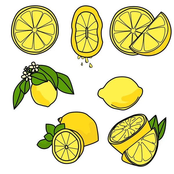Zitronensatz Ganz Hälften Scheiben Mit Blättern Und Blüten Saftige Zitrusfrüchte — Stockvektor