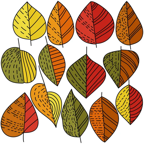 Conjunto Folhas Coloridas Outono Com Padrões Linhas Simples Tracejadas Ilustração — Vetor de Stock