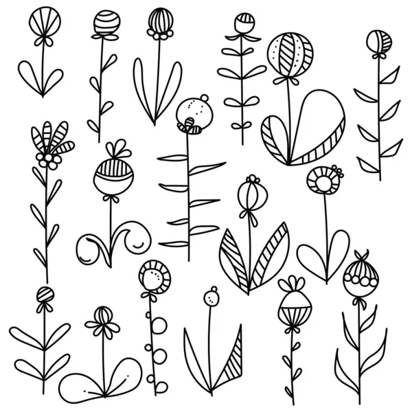 Doodle Ensemble Fleurs Avec Des Feuilles Des Baies Arrondies Des — Image vectorielle