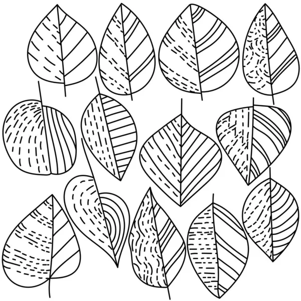 線形パターンの輪郭線の葉のセット 秋のテーマの着色ページ デザインと創造性のための植物のドアアウトラインイラスト — ストックベクタ