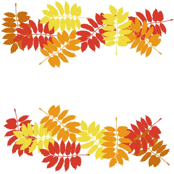Borda Horizontal Folhas Coloridas Outono Impressão Galhos Cores Outono Ilustração — Vetor de Stock