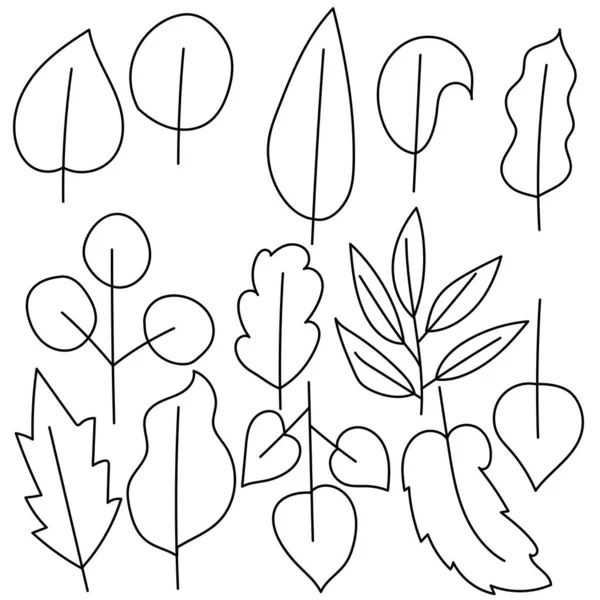 様々な木の葉の輪郭 葉の刃のシンプルな形 デザインと創造のための葉のベクトル図の回路図表現のセット — ストックベクタ