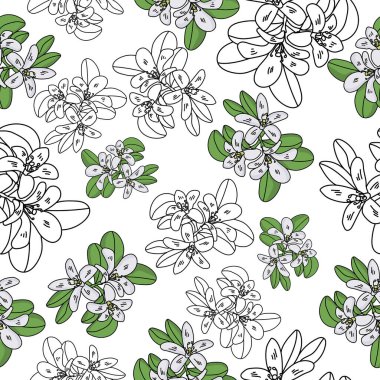 Kusursuz kontür çiçekleri ve ince bir dalda toplanan nazik mavi çiçekler, koyu yeşil yapraklarla birleştirilmiş açık yeşil çiçekler tasarım için tasarım çizimleri.