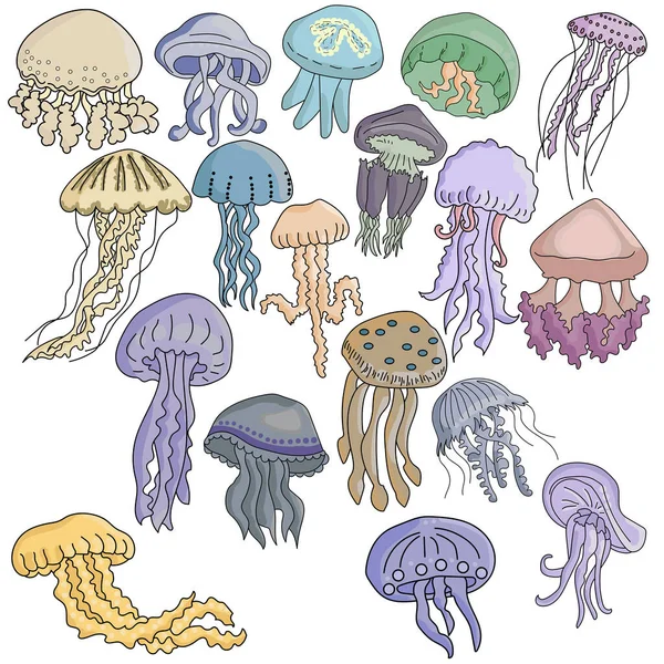 Conjunto Medusas Multicolores Varias Formas Tipos Imagen Estilizada Habitantes Submarinos — Vector de stock