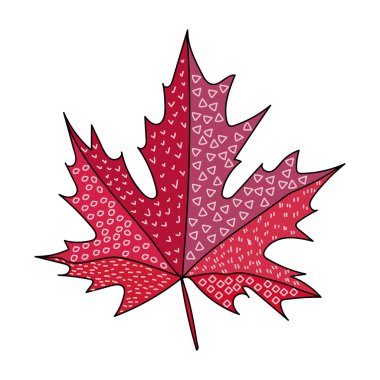 Akçaağaç Yaprağı Günü, basit desenli parlak Kanada akçaağaç yaprağı, dekoratif sembolik element, tasarım ve yaratıcılık için vektör çizimi
