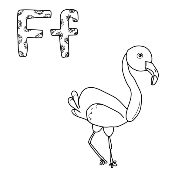 Desenho Para Colorir Para Estudo Letra Esboço Ilustração Flamingo Letras — Vetor de Stock