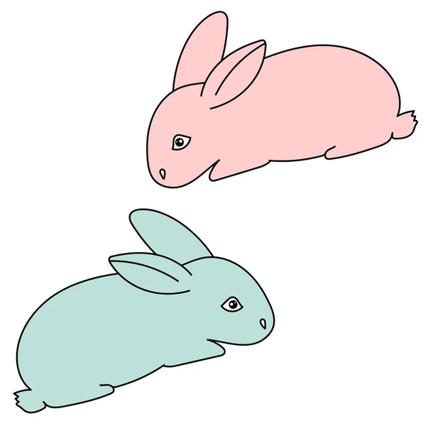 Deux Lapins Mignons Jeunes Animaux Couleurs Dessin Animé Rose Bleu — Image vectorielle