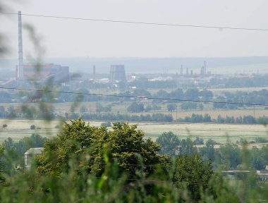 Sisteki endüstriyel bir şehrin arka planındaki yeşil ağacın tepesinde.