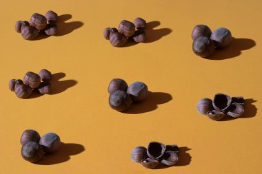 Turuncu bir arka planda fındık ve ceviz kabukları ile desen; sert ışık ile fotoğraf