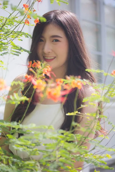 泰国人的肖像中国成年人办公室女孩白衬衫放松微笑 — 图库照片