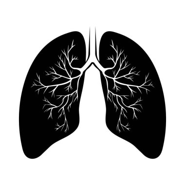 İnsan siyah akciğer anatomisi. Solunum yolu hastalığı. Solunum sistemleri