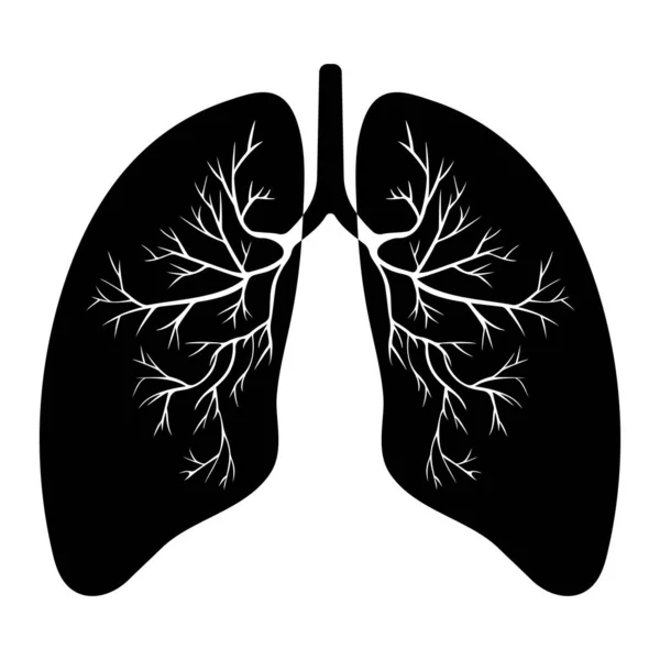 İnsan akciğer anatomisi. Solunum yolu hastalığı. Solunum sistemleri