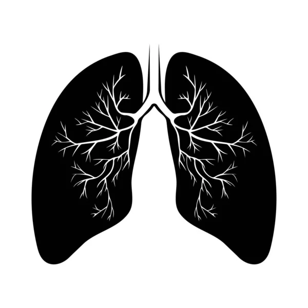 İnsan siyah akciğer anatomisi. Solunum yolu hastalığı. Solunum sistemleri