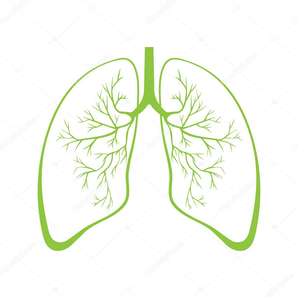 Human green lung anatomy. Respiratory tract disease. Respiratory systems