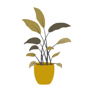 İskandinav tarzında esrar içinde kapalı bitki