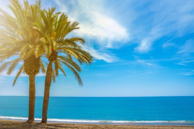Cennet kumsalı konsepti. Güneşli bir yaz günü, palmiye ağaçlı deniz manzarası. Tatil ve rahatlama