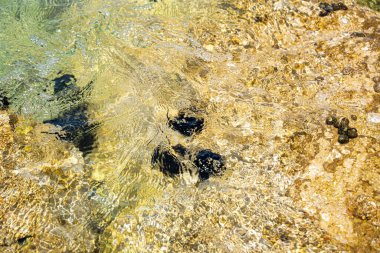 Deniz suyu, güneşli bir kayalık sahilde dalgalanır.