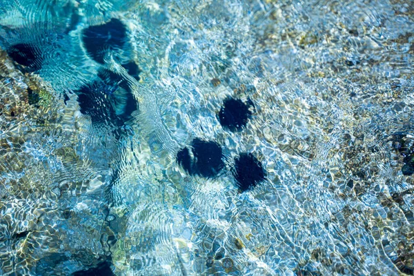 Agua Azul Marino Ondea Textura Una Costa Rocosa Soleada —  Fotos de Stock