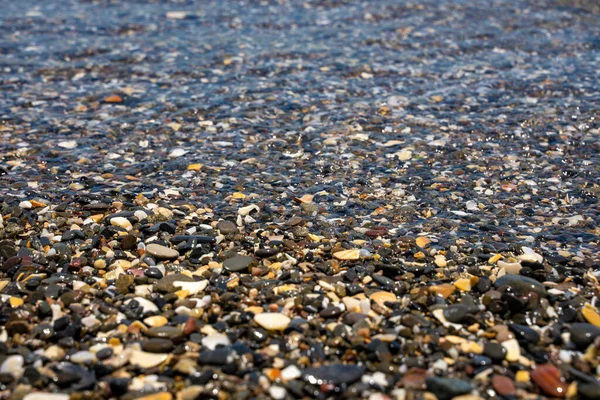 有鹅卵石的海岸 基层视野特写 — 图库照片