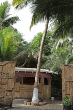 Hindistan 'daki güzel tatil köyleri. Hindistan 'da Lüks Tesisler Deneyimi.