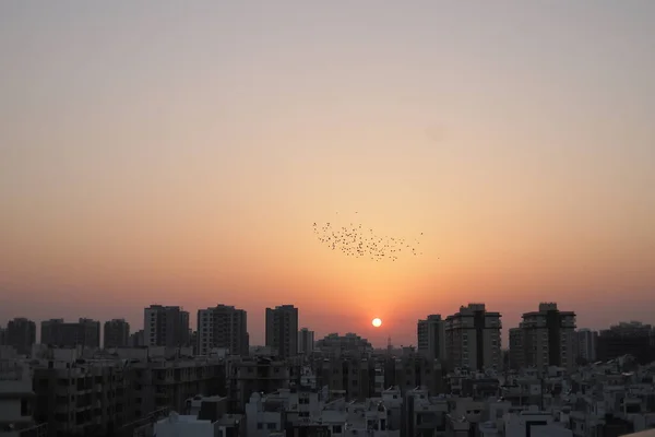 Birds flying on the sky. bird with sky view over city of India. sunrise & sunset view on city with Birds. Migratory birds flying in the cloudy sunset sky. bird with sky. sunrise & sunset view on city with Birds.