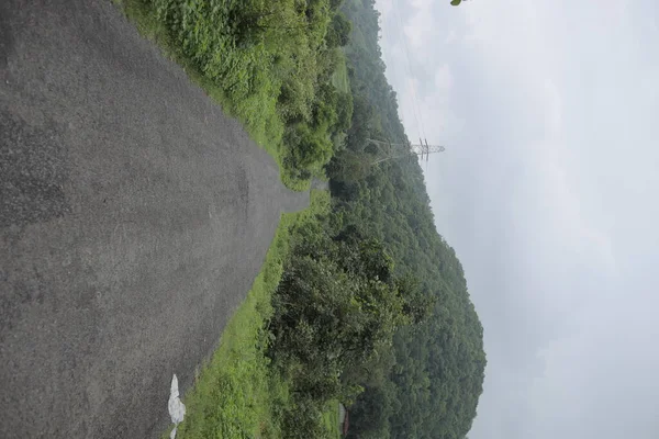 Foggy Straight Redwood Highway India — Stock Photo, Image