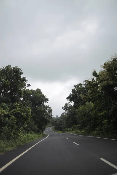 Foggy Rak Redwood Highway Indien — Stockfoto