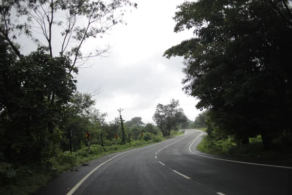 Noggy Straight Redwood Highway India — Foto de Stock