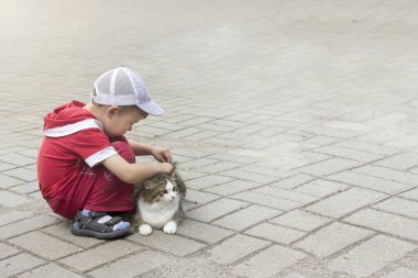 Küçük çocuk kaldırımda benekli güzel bir kediyi okşar. kopyalama alanı ile.