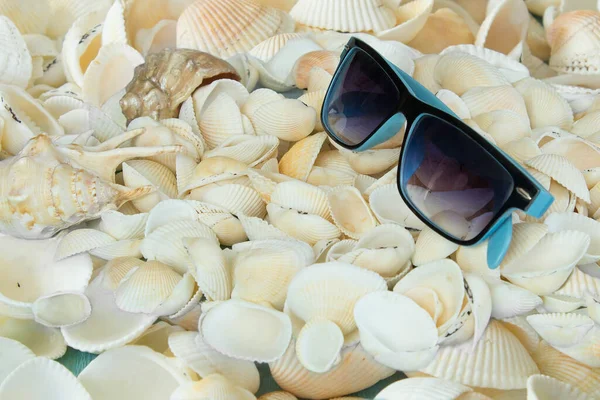 Mavi çerçeveli güneş gözlüğü deniz kabukları üzerinde dinleniyor. Denizde dinlenme konsepti. düz yat.