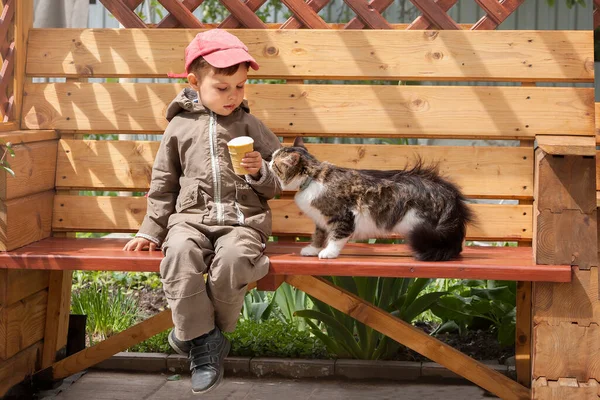 Een Jongen Met Een Ijsje Bank Vlakbij Kat Wil Traktatie — Stockfoto