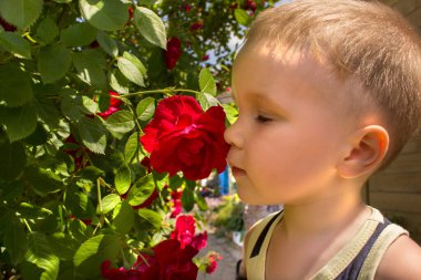 Eller kumaşı tutsun. makine dikme. makro