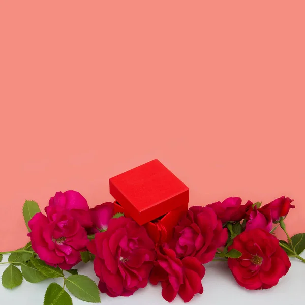Kırmızı arka planda kırmızı güller ve hediye kutusu..