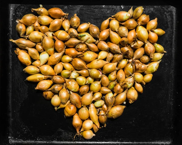 Corazón Hecho Cebollas Bulbo Sobre Fondo Chapa Para Hornear — Foto de Stock