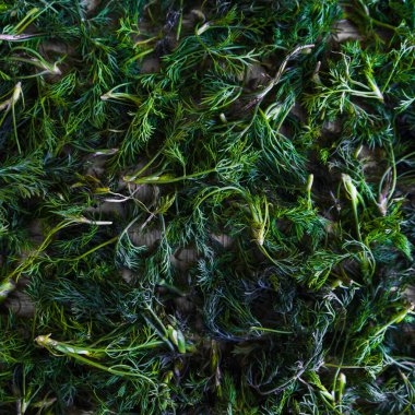 Taze yeşil dereotlu arka plan. yeşil dereotu dokusu. Üst Manzara. slig