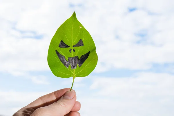 Sosteniendo Una Hoja Verde Árbol Con Una Cara Halloween Fondo —  Fotos de Stock