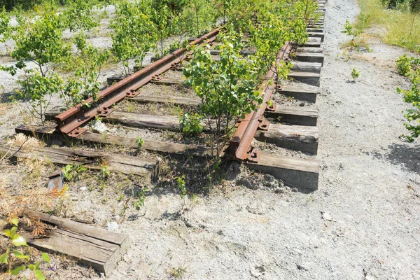 Old Rusty Abandoned Railway Overgrown Grass Trees — Stock Photo, Image