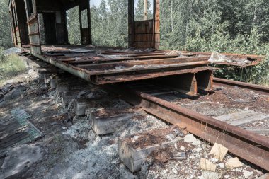 Ormanda terk edilmiş ve yok edilmiş bir tren vagonu..