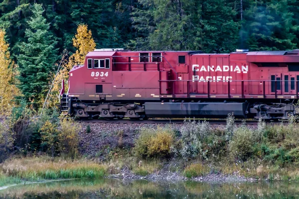Kanada Pasifik treni Mule Shoe 'nun üzerinden geçiyor. Banff Ulusal Parkı, Alberta, Kanada