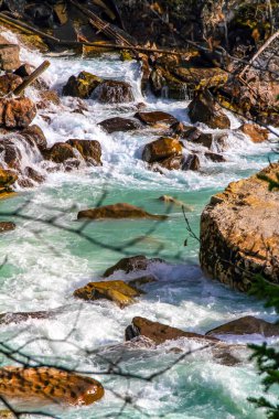 Takakka Nehri, Yoho Ulusal Parkı, BC, Kanada