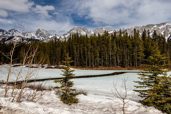 Eau Traversant Lac Supérieur Parc Provincial Peter Lougheed Alberta Canada — Photo