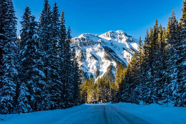 Monte Fortune Parque Provincial Peter Lougheed — Fotografia de Stock